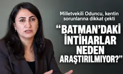 “BATMAN’IN İKİ BÜYÜK KANAYAN YARASI VAR”
