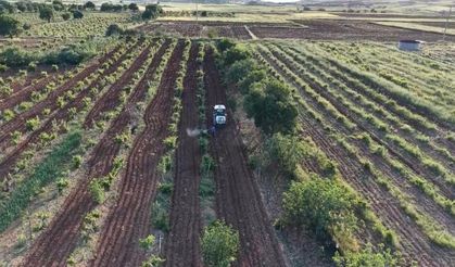 Şafak vaktiyle çiftçiler tarlalara akın ediyor