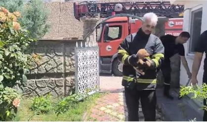 Batman'da fabrika duvarına sıkışan köpek kurtarıldı, işçiler hayvanı sahiplendi