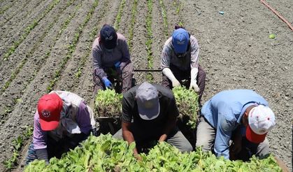 Emsal karar; artık onlar da ihbar tazminatı alacak