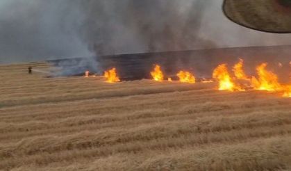 5 bin dönüm arazi alevlere teslim oldu