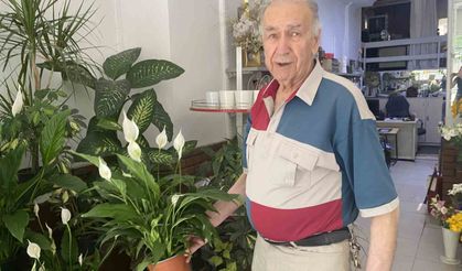 Direkt güneş ışığı çiçekler için zararlı