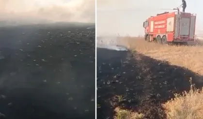 Batman'da 150 dönümde etkili olan anız yangını söndürüldü