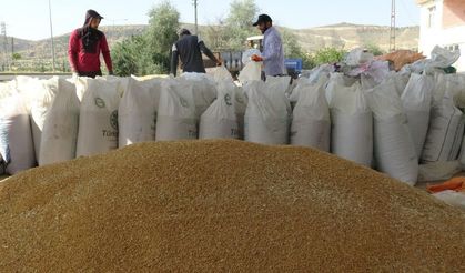 Gercüş’te bereketli hasat: Çiftçinin yüzü güldü