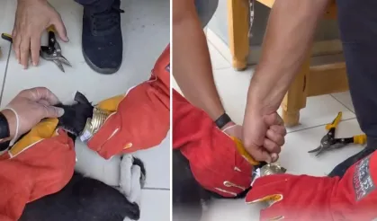 Batman’da yaramaz kedi kafasını tenekeye sıkıştırdı, itfaiye kurtardı