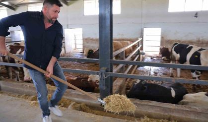 Ahırların elektrik işini yaparken, devlet desteğiyle besi çiftliği kurdu