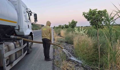 Batman'da Yeşil Kuşak Projesi kapsamında meyve fidanlarına özenli bakım