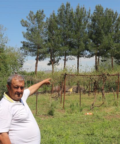 DOLUZEDELER, SAMAN VE YEM ARAYIŞINDA