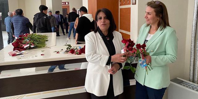 800 DELEGEYE GÜL DAĞITTI