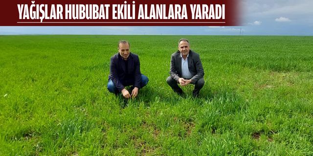 GÖZLER NİSAN YAĞMURUNDA