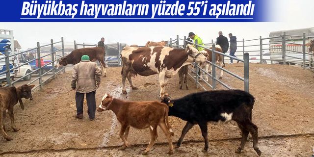 HAYVAN BORSASI NİSAN’DA AÇILACAK