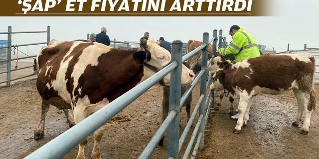 FİYATLAR ARTIYOR