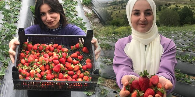ÜRETİCİ ‘ÇİLEK’TEN UMUTLU
