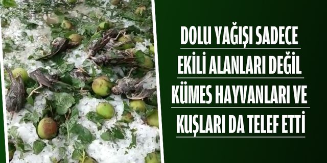 FELAKETİN İZLERİ!