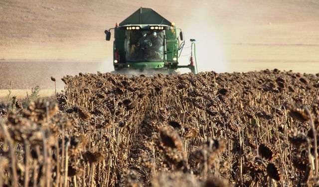 Aralık ayında Tarım ÜFE yıllık yüzde 52,66 arttı