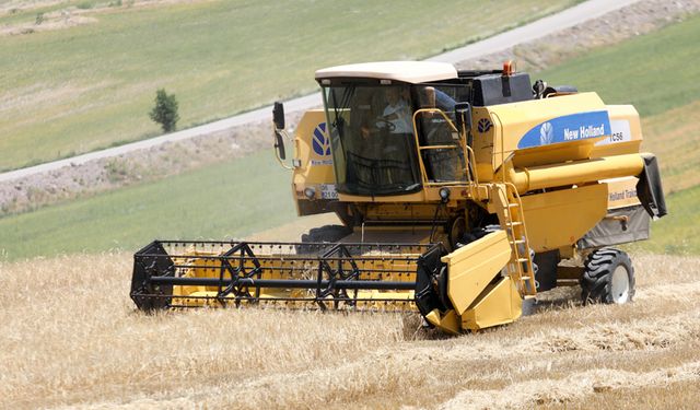 “Buğdayın maliyeti geçen yıla göre yüzde 62 arttı”