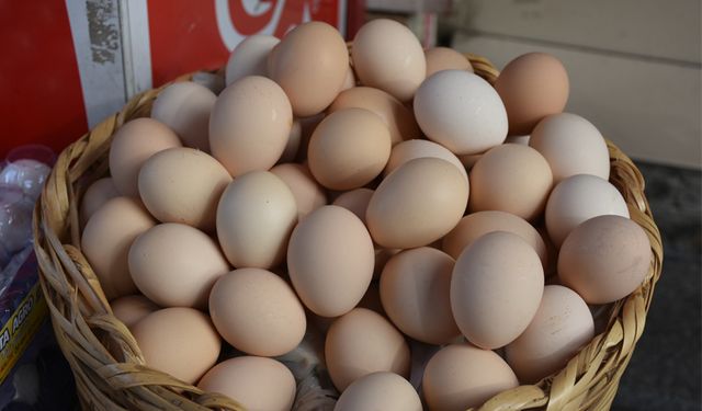 Köy yumurtası fiyatı düştü