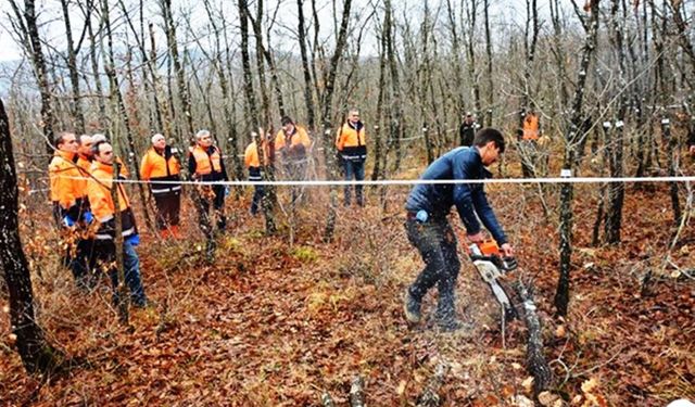 Orman Genel Müdürlüğü 69 Daimi ve Geçici İşçi Alacak
