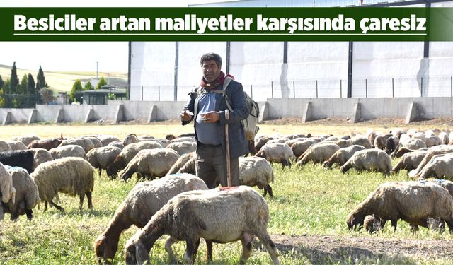 KURBANLIKLAR EL YAKIYOR