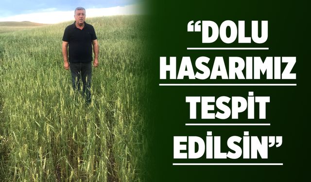 Bir yıllık emek doluya teslim
