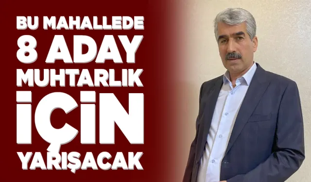 Bu mahallede 8 aday muhtarlık için yarışacak
