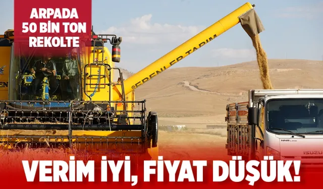 Batman Ovası’nda arpa hasadı başladı