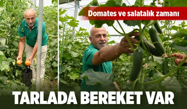 TARLADA BEREKET VAR