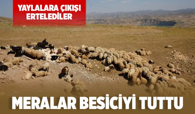 Besiciler sıcağa rağmen bölgeyi terk etmedi