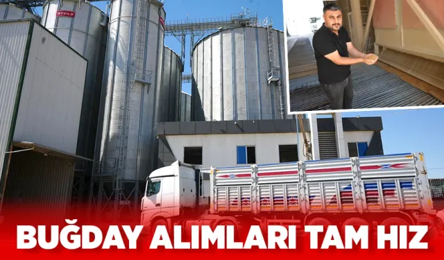 TMO, 16 noktada buğday alımlarını sürdürüyor