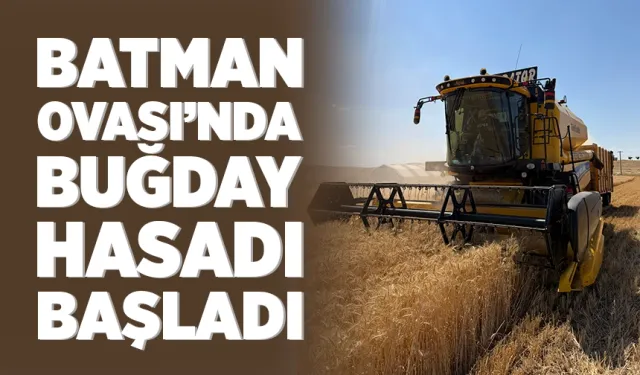 BATMAN OVASI’NDA BUĞDAY HASADI BAŞLADI