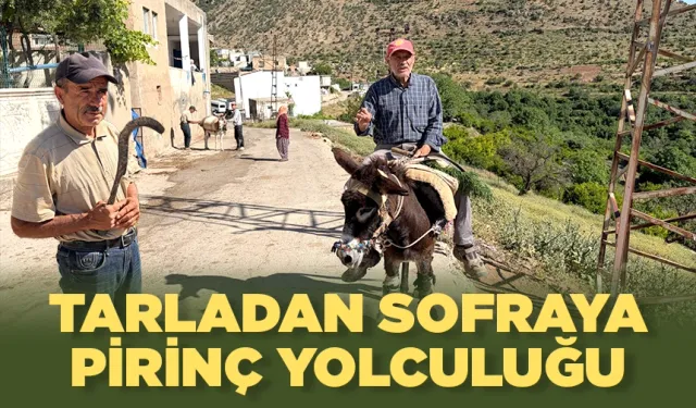 Batman’da coğrafi işaret alan ilk ürün olmuştu