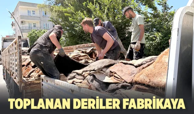 Geçimlerini deriden kazanıyorlar