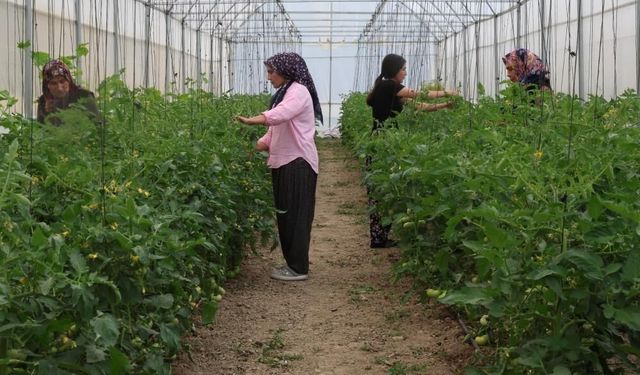 Kadınlar devlet desteğiyle üretti, köy turizm ve tarımda ilçede öncü oldu