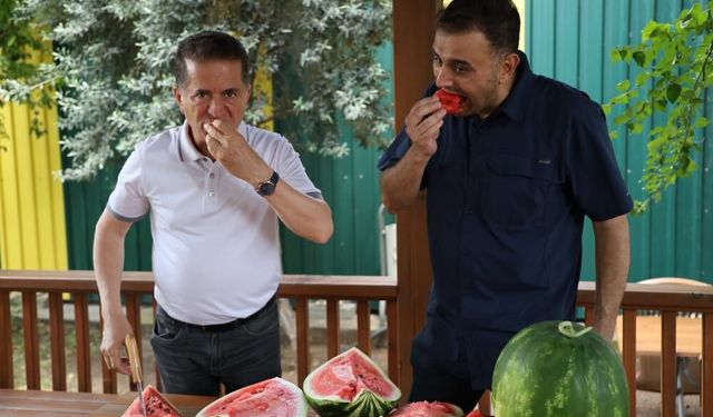 Uzmanından iyi karpuz ‘Nasıl seçilir' tavsiyesi: "Karpuza vurmak eskide kaldı"