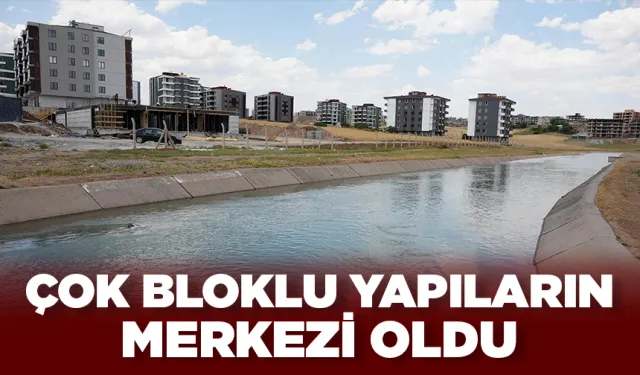Üç ay öncesine kadar besi çiftliklerinin yeriydi