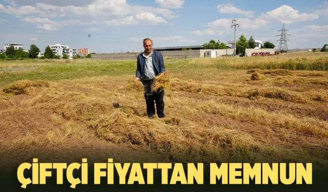 Batman'da mercimek hasadı başladı