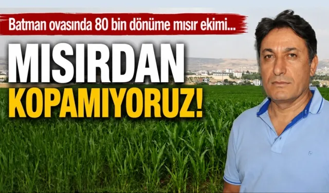 Batman ovasında 80 bin dönüme mısır ekimi…