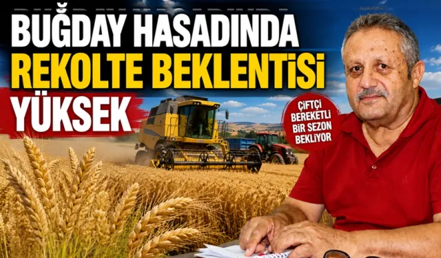 Ziraat Odası Başkanı Aydiş, verimin iyi gözüktüğünü söyledi