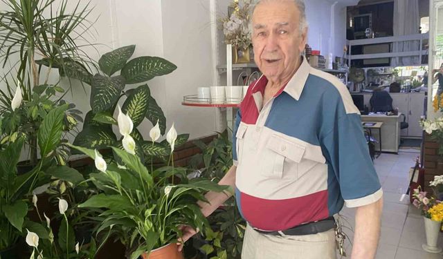 Direkt güneş ışığı çiçekler için zararlı