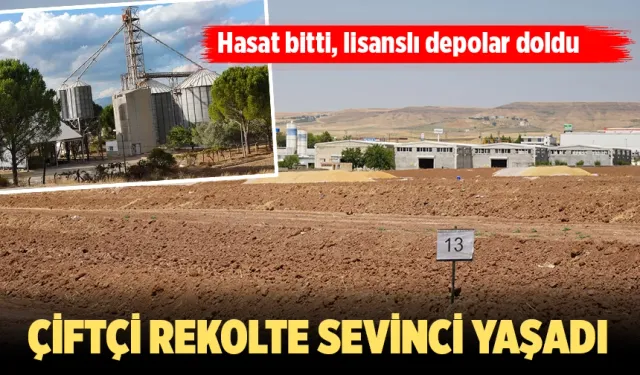 ÇİFTÇİ REKOLTE SEVİNCİ YAŞADI
