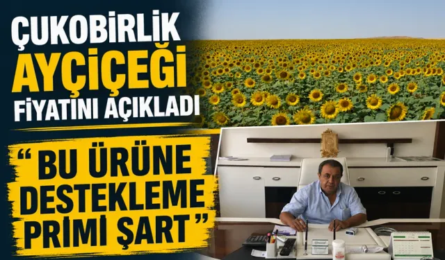 Çukobirlik ayçiçeği fiyatını açıkladı