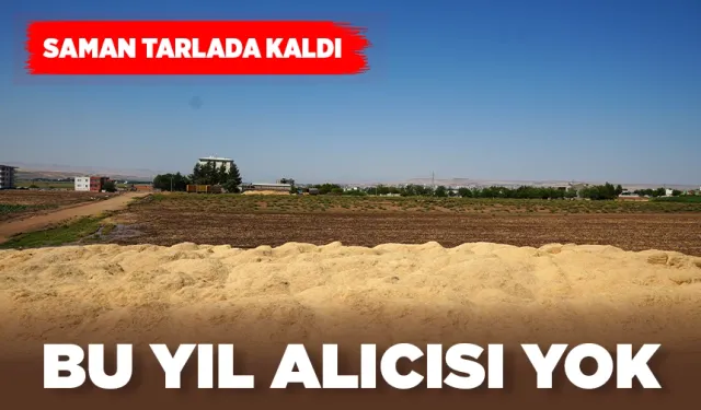 Batman'da samanın tonu 1.500 TL’nin altına düştü
