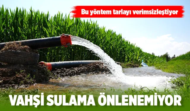 VAHŞİ SULAMA UYGULAMASI ÖNLENEMİYOR
