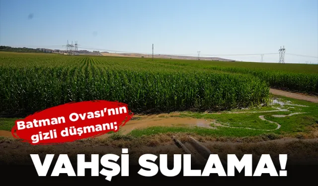 Batman Ovası'nın gizli düşmanı;