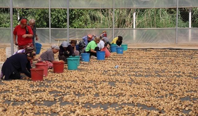 'İşletmelerin ve tüccarların denetlenmesi lazım'