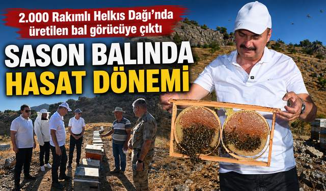 SASON BALINDA HASAT DÖNEMİ