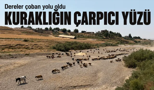 KURAKLIĞIN ÇARPICI YÜZÜ