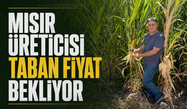 Mısır üreticisi hak ettiği fiyatı istiyor