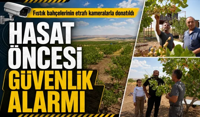 ‘Yeşil altın’ hasadı öncesi bahçelerde güvenlik alarmı