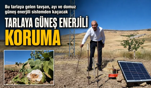 TARLAYA GÜNEŞ ENERJİLİ KORUMA